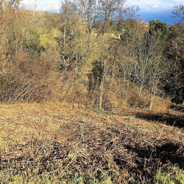 Offres de vente Terrain Saint-Péray 07130
